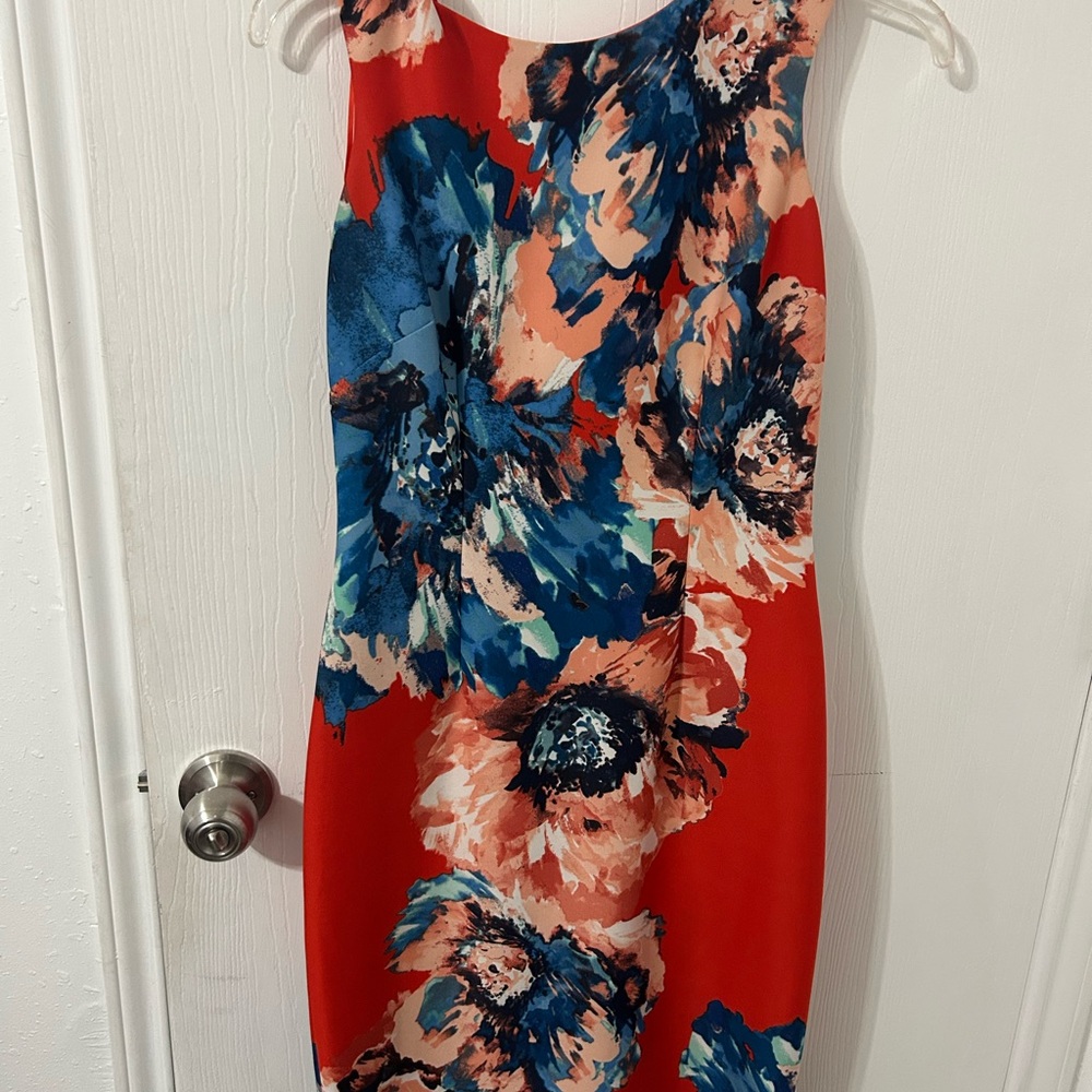 Floral Sleeveless Dress - Red and Blue